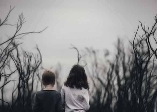 【视频使用教程】新手入门的器测压文章